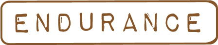 ENDURANCE logo